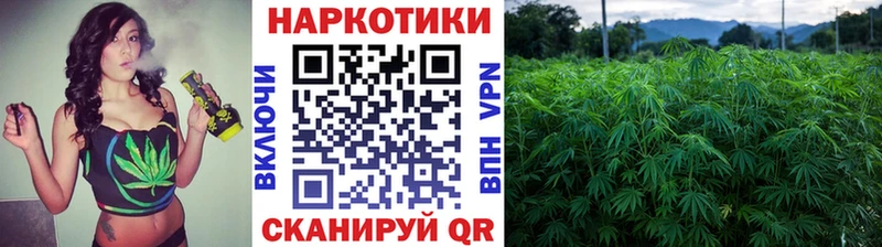 Хочу наркоту Горбатов Бутират Канабис