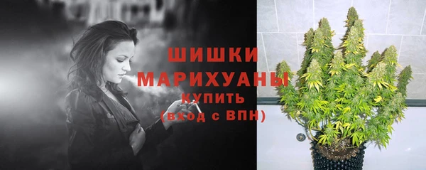 СК Волосово