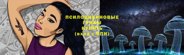СК Волосово